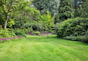 Optimiser l'expérience du jardin à Charnay-les-Chalon
